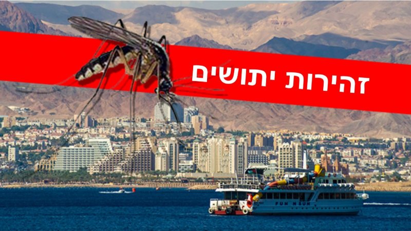זהירות! יתושים