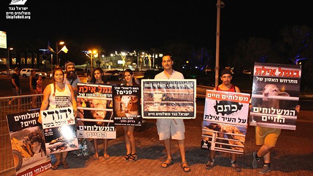 ''לא הייתי רוצה להיות כאן תיירת מחו''ל''