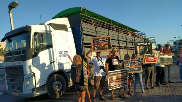הצעת חוק: וטרינר צמוד למשלוחים החיים