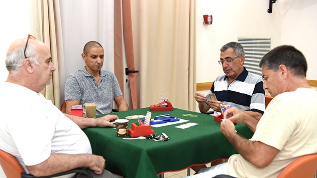 סנוב, ברידג' כבר שיחקת?