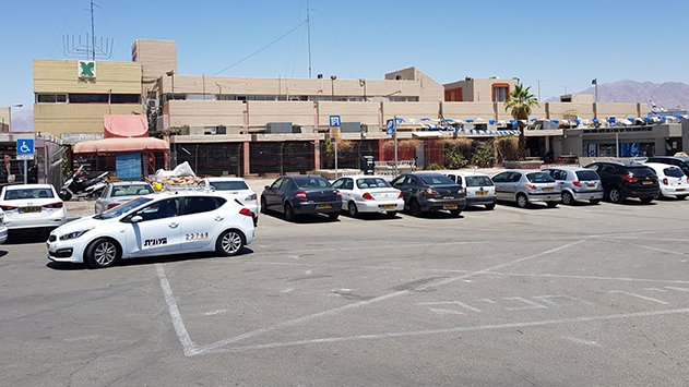 התחנה המרכזית החדשה  צמחה בקומה