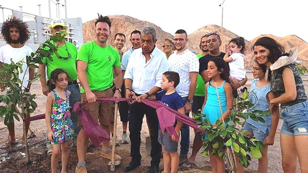 שתילה מוצלחת
