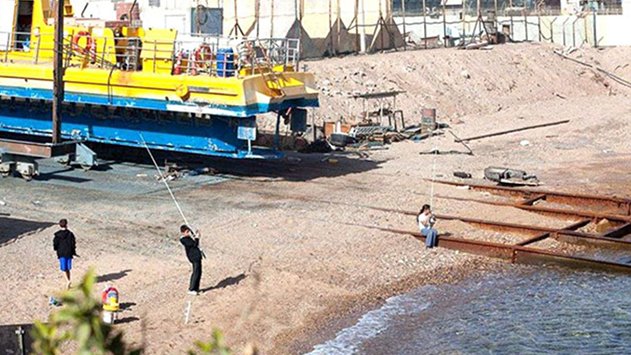 הדולפינים בסכנה: הוועדה המחוזית מאשרת את הפעלת המימשה אף שטרם הוקמו אמצעי מיגון לריף
