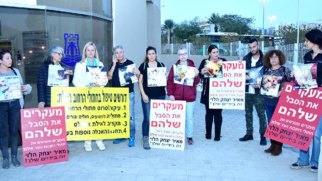 קרב חתולים