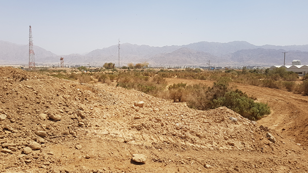 רשות ניקוז ערבה הרסה חורש טבעי של שיח בסכנת הכחדה: ''הכל נעשה באישור''