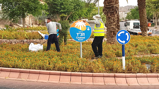 למרות הגרעון, תוספת גינון במיליון ₪
