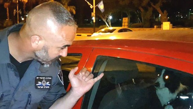 שוטרים חילצו כלב מרכב נעול הבעלים: ''יש לו מספיק אוויר'' 