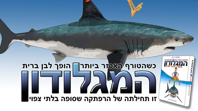 המגלודון מחפש אתכם