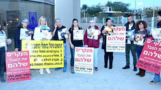 מאכילי החתולים בעיר:  ''זנחו אותנו, אנחנו קורסים''