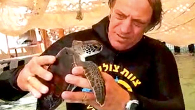 כך ניצלו חייו של הצב