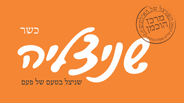 שניצליה - מקום מצוין ליהנות מאוכל טוב בכל שעה