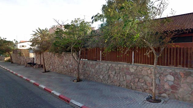 תושבי גנים א': ''העצים בשכונה גוססים''