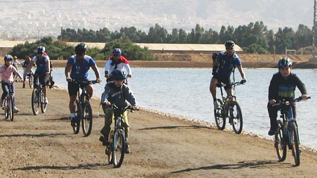 מדוע מתעכב מכרז השכרת האופניים 