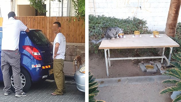תושבי שכונת ידע ונוי כועסים: העירייה לא אוכפת איסוף צואת כלבים