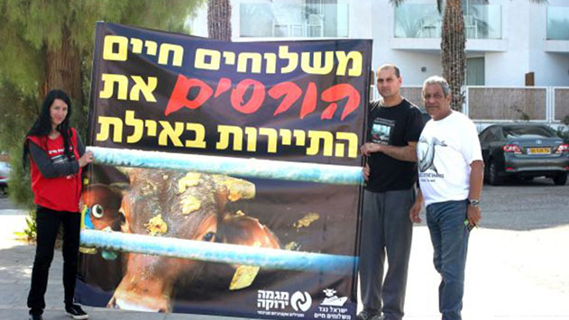 למרות ההבטחות: שנת 2018 היתה שנת שיא במשלוחים החיים 