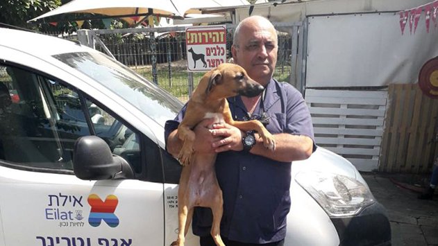 אימוץ כלבים חוצה ערים