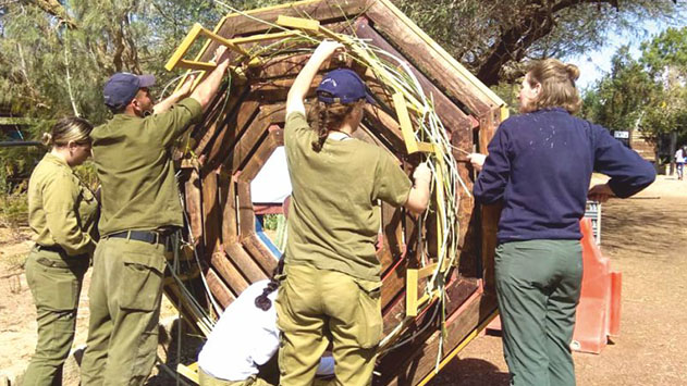 מגנים ומתנדבים בזירת ים סוף