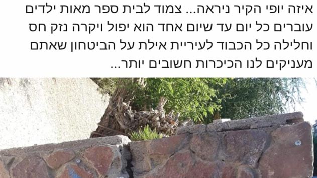 מי יטפל בסדק?