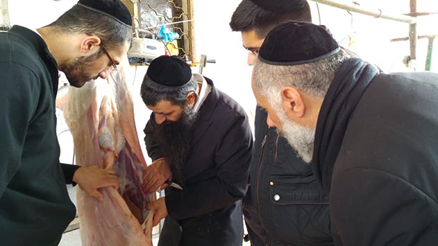 קורסים תורניים – מהם המקצועות המבוקשים בשוק העבודה?