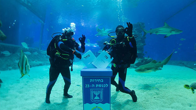 נשיקות - מדור החברה של אילת
