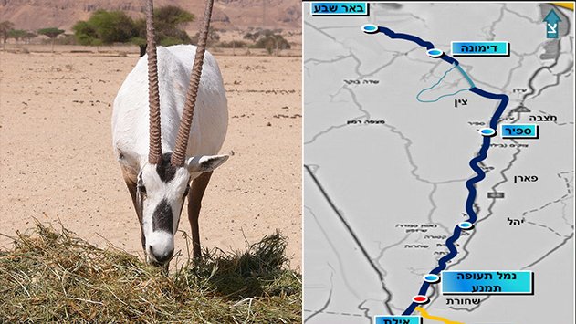 הרכבת לאילת תעקוף את החי בר ותביא להסטת כביש 90