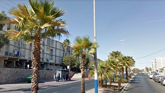 הישג לעיריית אילת: משרד החקלאות  הסיר דרישתו לעקירת דקלים בעיר