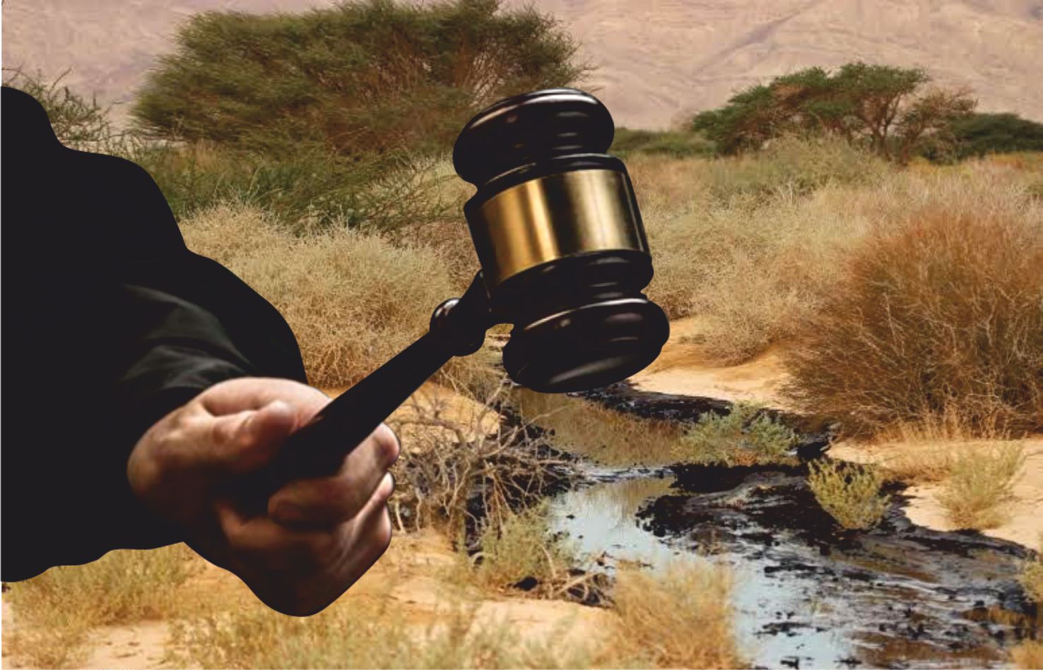 קצא''א תשלם לעורכי הדין  שייצגו מולה באסון עין עברונה  כ-11.5 מיליון שקל