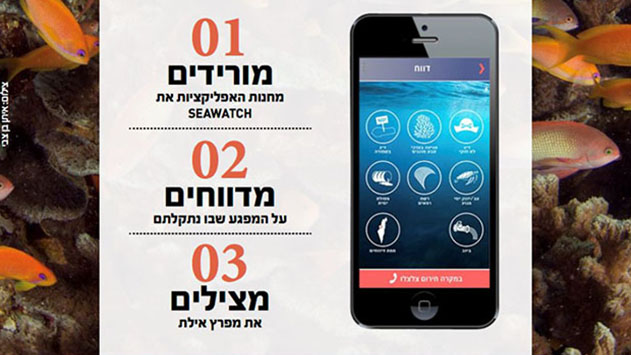 נתונים ראשונים מאפליקציית  הדיווחים על מפגעים ממפרץ אילת