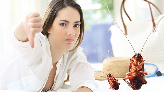 תובעת את המלון באילת:  ''ג'וקים וצפיפות בניגוד להנחיות''