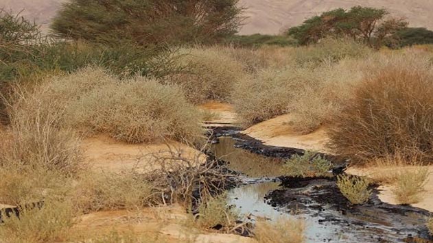קצא''א תועמד לדין בכפוף לשימוע בשל זיהום שמורת עברונה