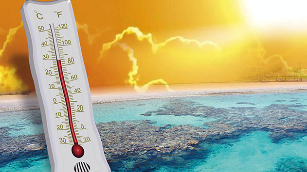 פרופ' גנין: בחודש מאי  האחרון התרחש אירוע  התחממות קיצונית  בטמפרטורת מפרץ אילת