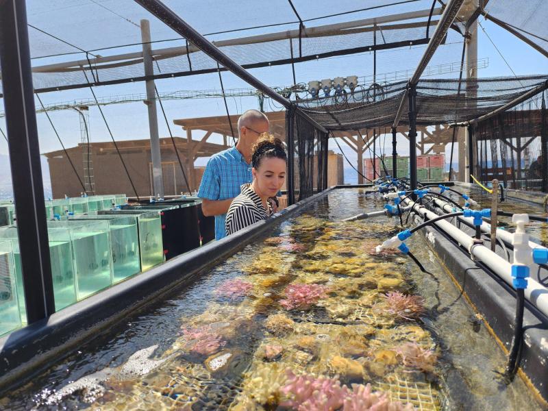 השרה עידית סילמן: ׳׳מצב שונית האלמוגים באילת ממשיך להתדרדר׳׳