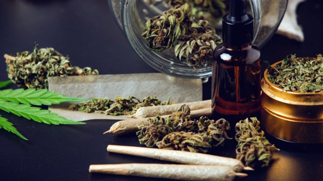 מה לבדוק לפני שרוכשים שמן CBD ומגוון מוצרי קנאביס?