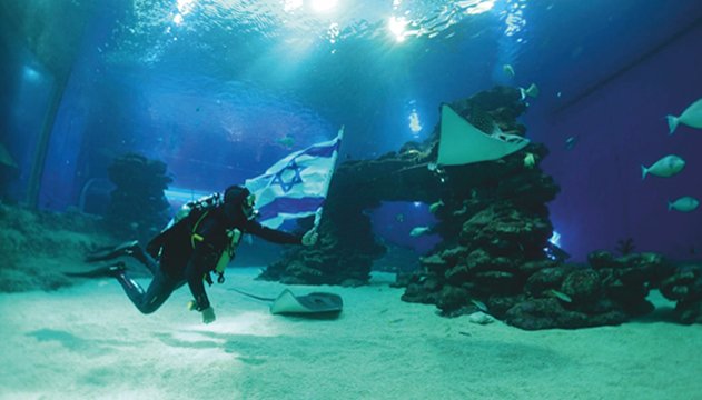 מותק - מדור החברה של אילת