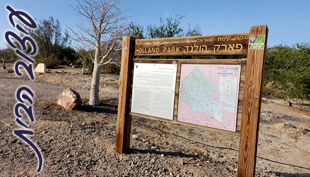 הירוק שלהם ירוק יותר