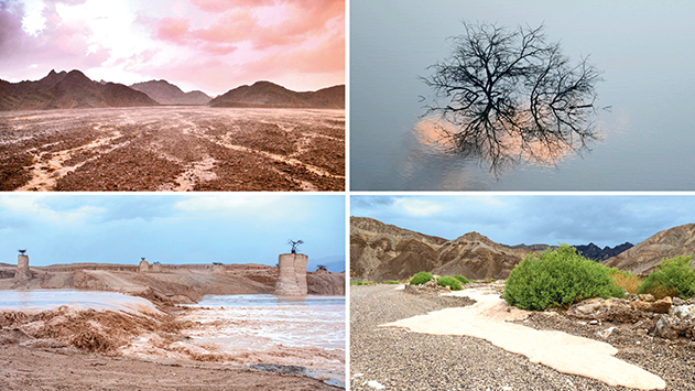 'מים במדבר' – נפתחה תערוכת  צילומים מרהיבה בגלריית אמני אילת