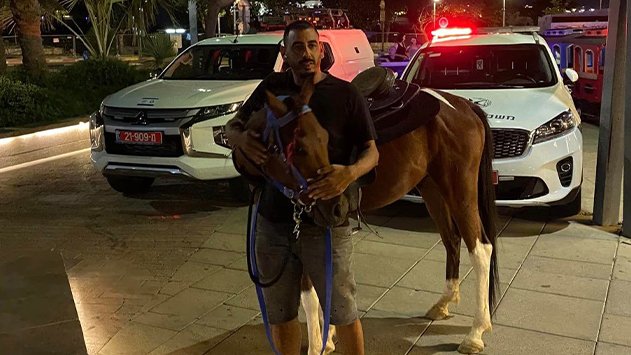 עיריית אילת אכפה בטיילת כנגד  קולעות צמות, בעל סוס והימורים