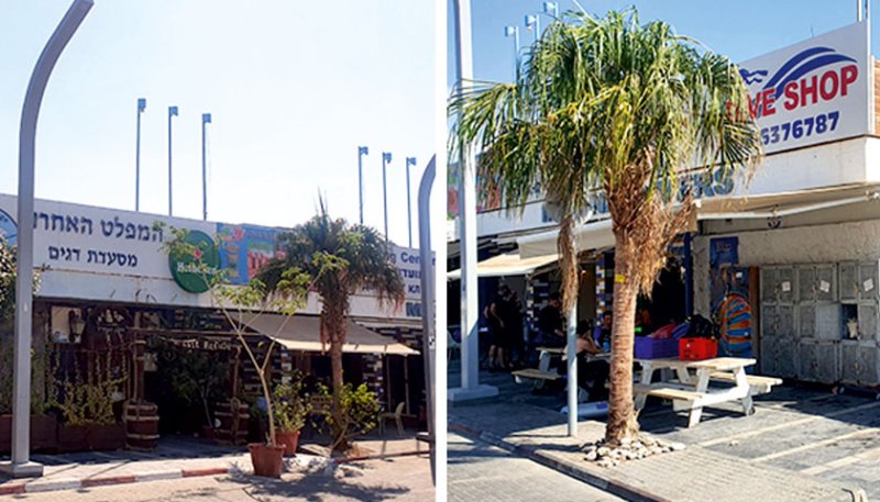 הוארכו הסכמי השכירות במרכז מרינה 'תור ים’