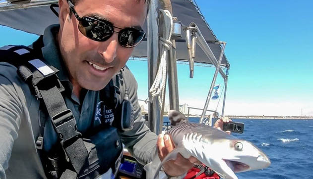 עשרה אחוז מכלל תיקי הדייג האסור בישראל  נפתחים במפרץ אילת