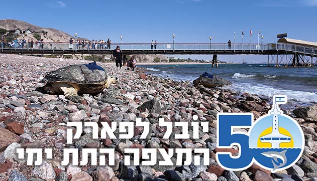 פארק המצפה התת ימי מציין 50 שנות פעילות, למען מפרץ אילת  והחיים הימיים