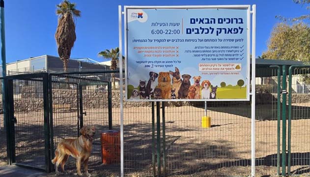 עיריית אילת מחנכת את בעלי הכלבים  להיכנס למתחמים סגורים - אבל הם לא אוהבים את זה