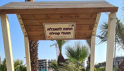 האם אוכל יבש לחתולים הוא אשפה?