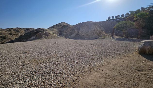 בין ההרים לשכונות:  תופעת קבורת חיות המחמד מגיעה לשחמון