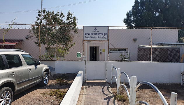 עיריית אילת שוקלת להעביר את הפיקוח  הווטרינרי על בתי האוכל לגוף ארצי