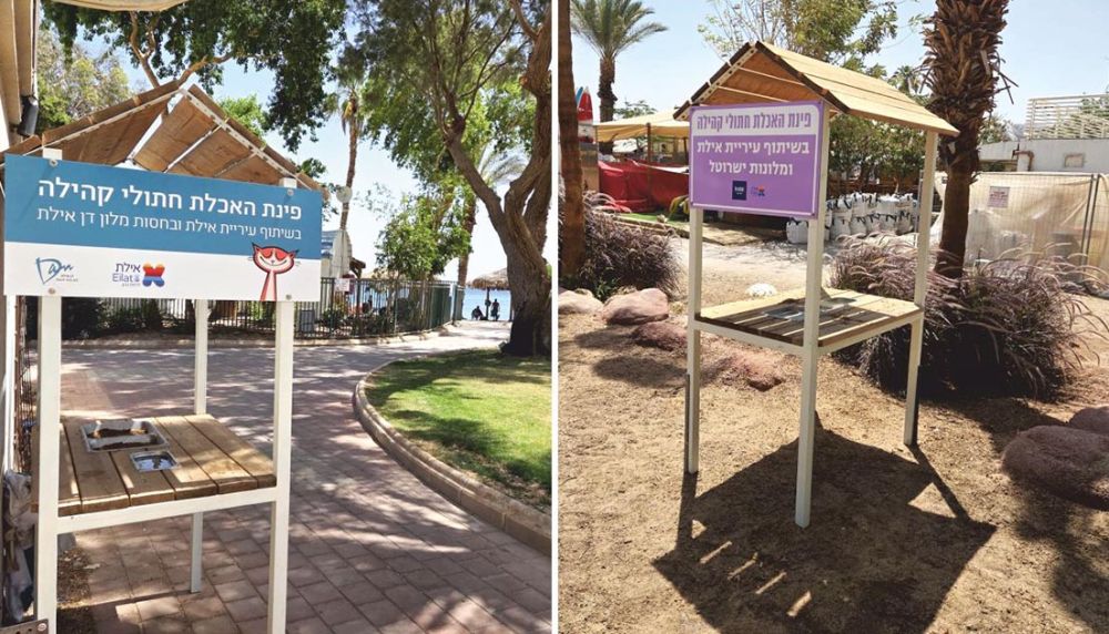פינות האכלה לחתולי קהילה גם בתיירות