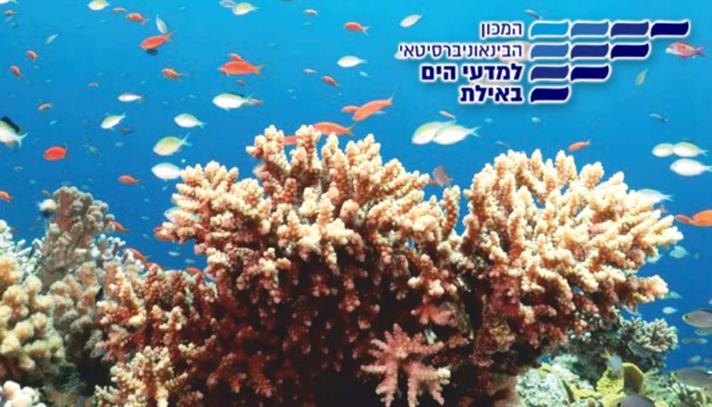 מחקר חדש מהמכון הבינאוניברסיטאי למדעי הים: לאלמוגים יש שעון הורמונלי  והוא נראה דומה להפליא לשלנו