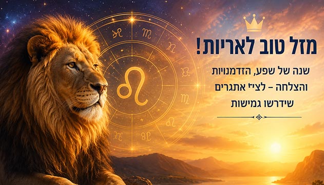 אריות, זה הזמן שלכם: שנה של פריצות דרך לצד מבחני החיים
