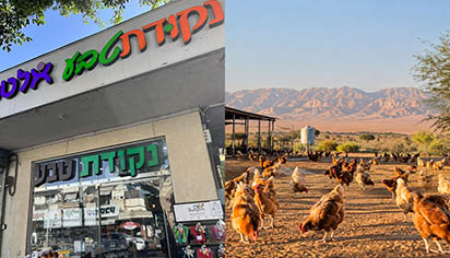 רגע לפני הסדר החובות: ספק מהערבה תובע את ''נקודת טבע''