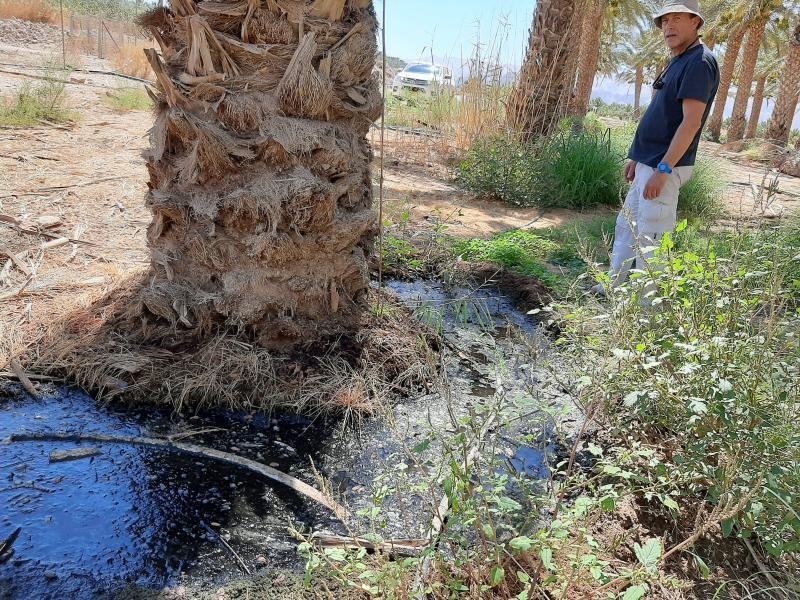 יתושים נגועים בנגיף קדחת מערב הנילוס נלכדו לאורך ציר 90 