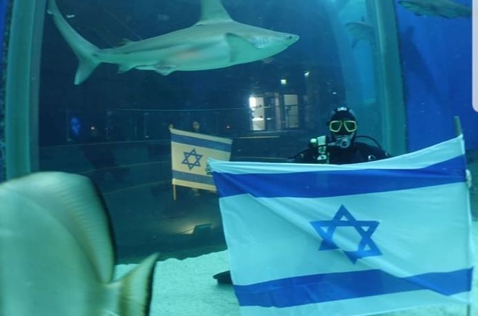עצמאות שמח עם הכרישים במצפה